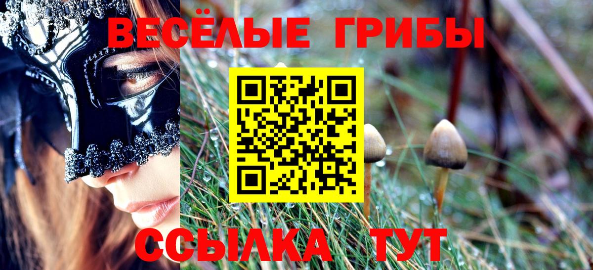Псилоцибиновые грибы прущие грибы  Галлюциногенные грибы GOLDEN TEACHER  Чистополь  Вход с VPN 