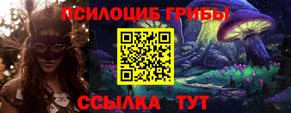 Псилоцибиновые грибы Psilocybine cubensis Чистополь